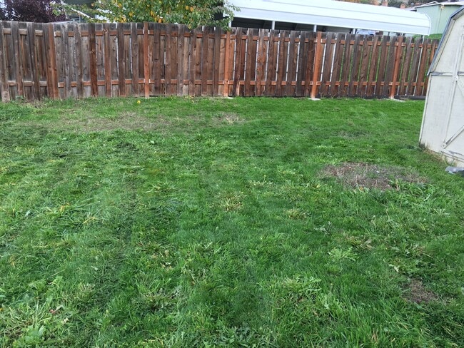 Photo - 1608 Montana St