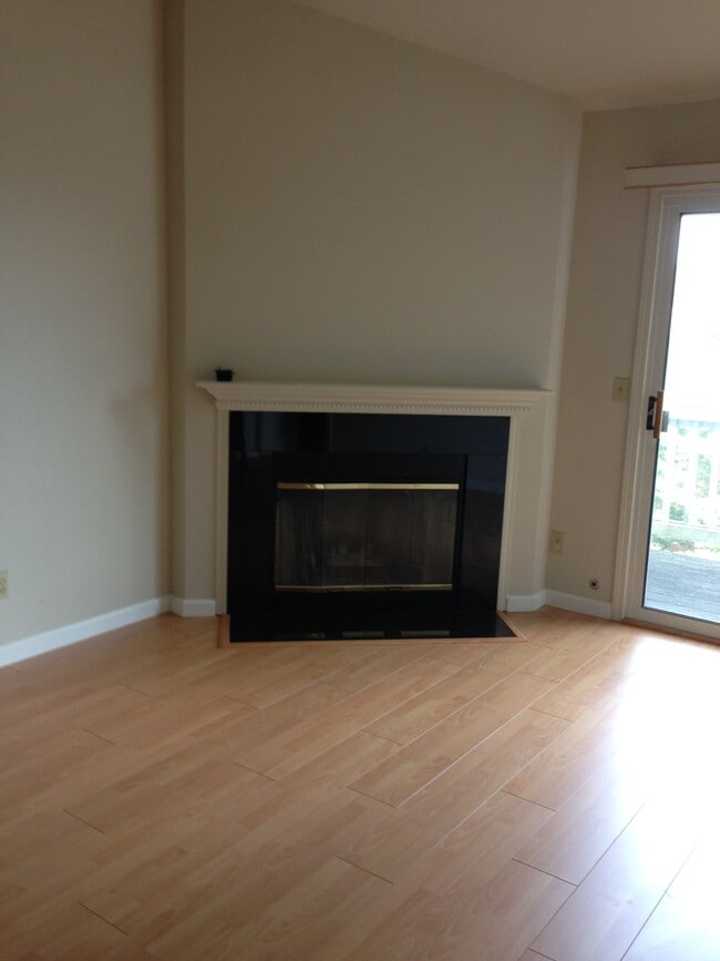 Fireplace/Living Room
