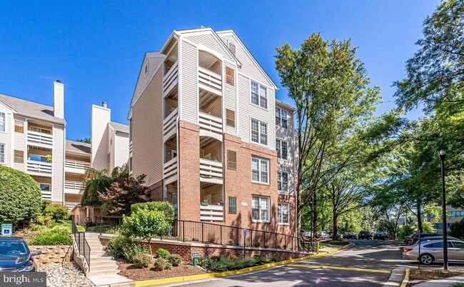 Building Photo - 244 S Reynolds St Unit 303 Rental