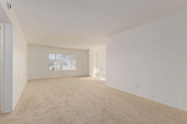 Photo - Tempe Charmer!