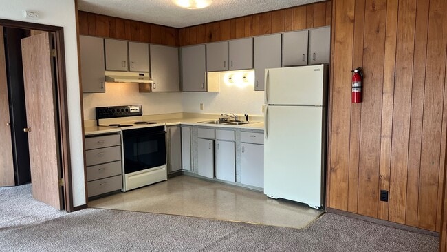 Open Kitchen - Willow Woods Apartments
