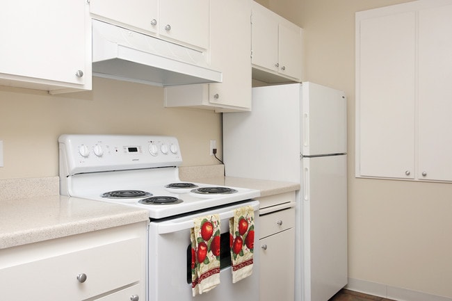 Photo - Central Park