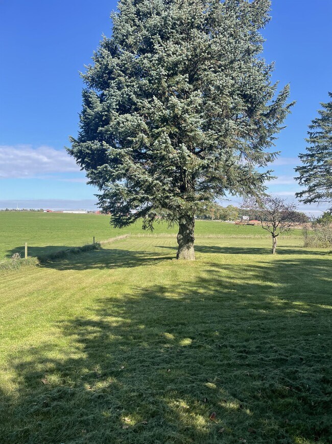 Photo - 7020 Brown Rd