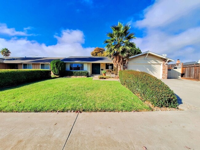 Building Photo - Spacious 3 Bedroom House Available Now