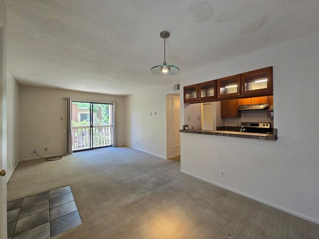 Building Photo - 941 Calle Mejia Rental
