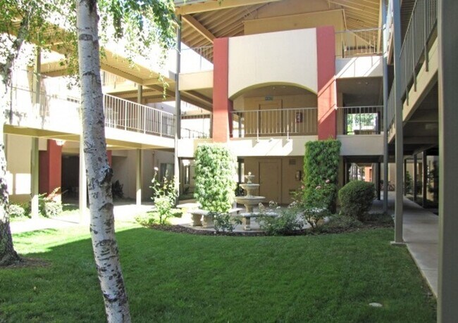 Lakeshore Apartments - Lake Views!
