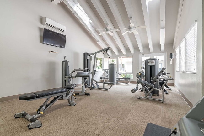 Photo - Shadow Point