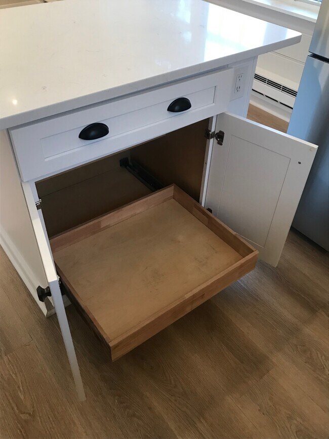 Pullout drawer in island - 81 Commerce St Unidad 81 R