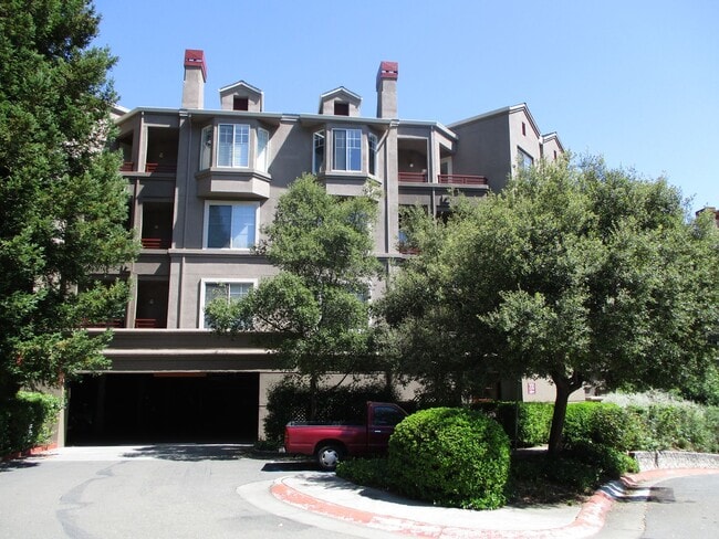 Building Photo - Stunning 2-Bed, 2-Bath Unit 113