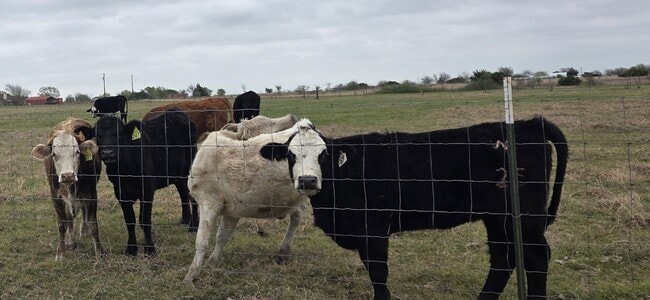 Photo - 2403 Bottoms East Rd Unit B