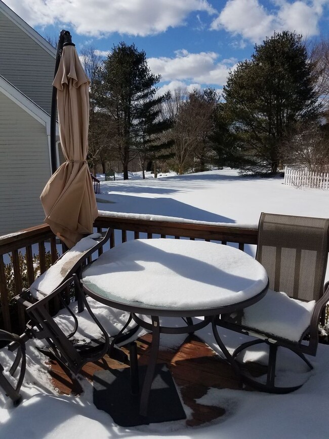 Photo - Available in Colchester