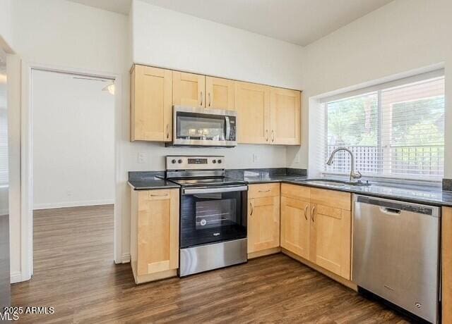 Photo - 4731 E White Aster St