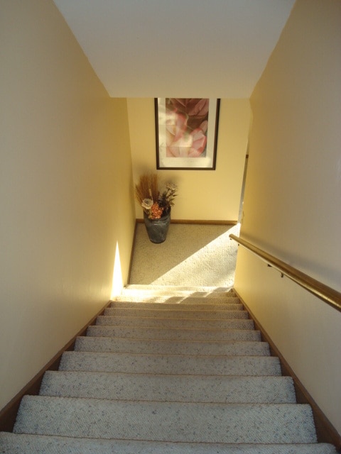 Photo - 2308 Mayflower Ave