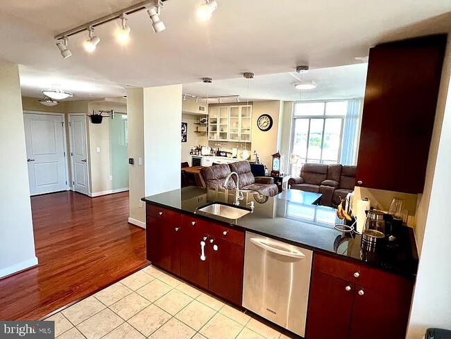 155 Potomac Passage Unit 704