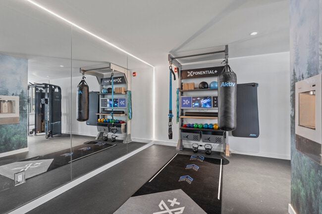 Xponeitial Virtual Trainer
