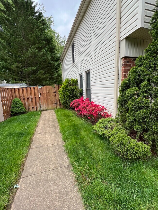 6303 Capella Ave Rental House Rental in Burke, VA