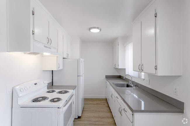 1BR, 1BA - 710SF - Kitchen