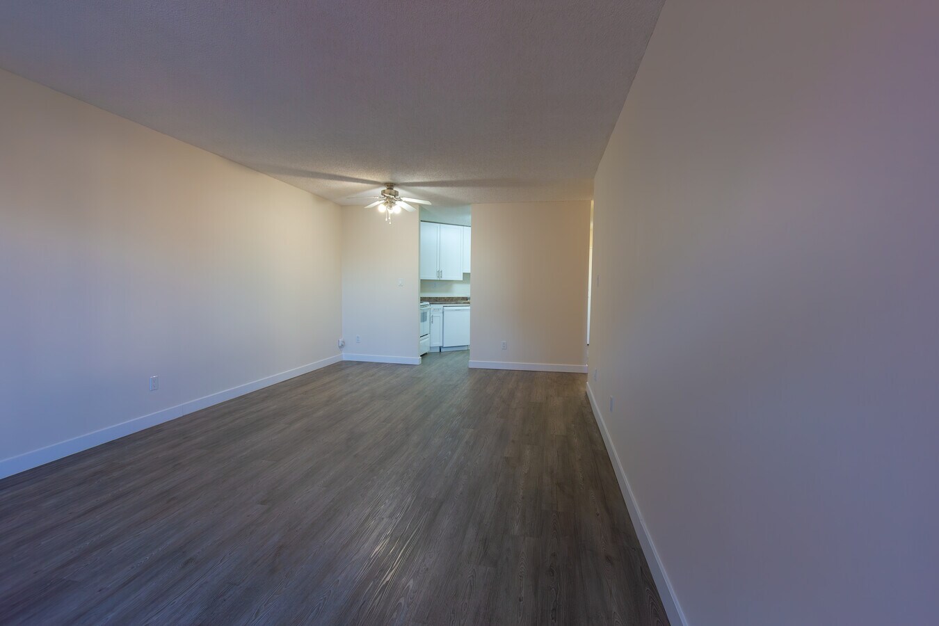 Photo - The David Thompson