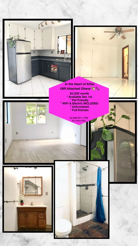 Building Photo - 317 Auhana Rd