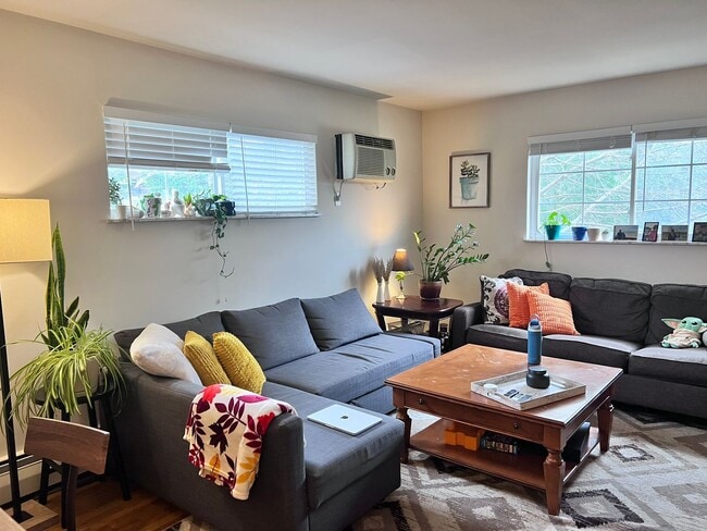 SPACIOUS 2 BR IN HYDE PARK WITH GARAGE - SPACIOUS 2 BR IN HYDE PARK WITH GARAGE Apartment