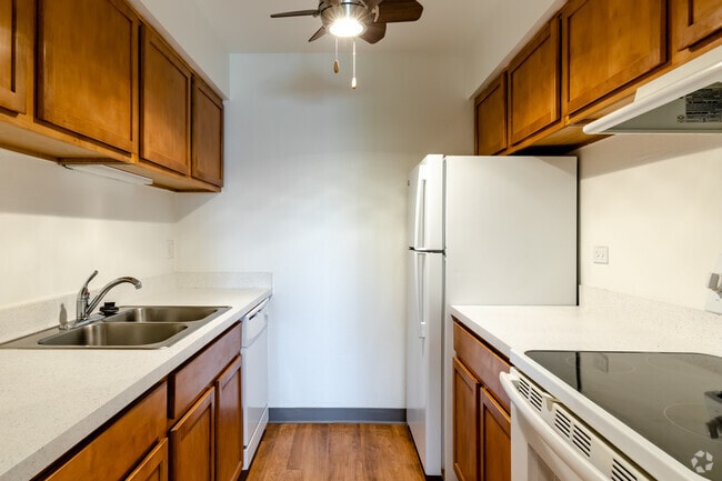 1BR, 1BA - Kitchen