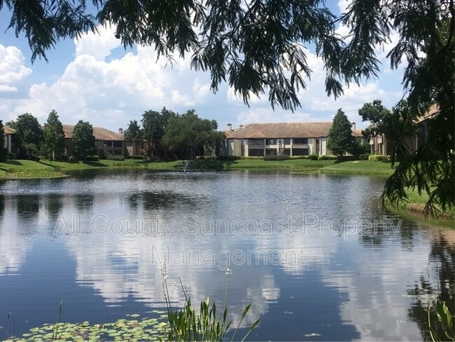 Photo - 10265 Gandy Blvd N