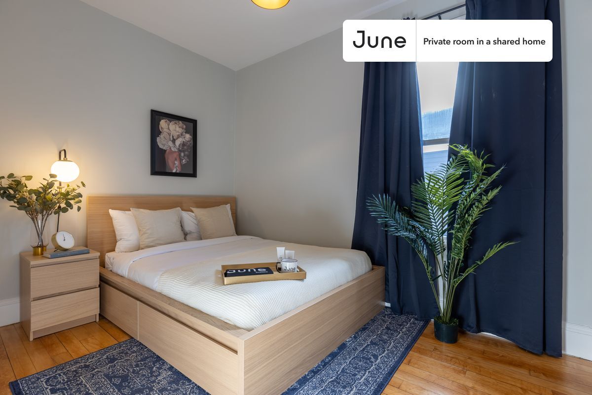 Private bedroom in 4 bed/2 bath Home - Private bedroom in 4 bed/2 bath Home
