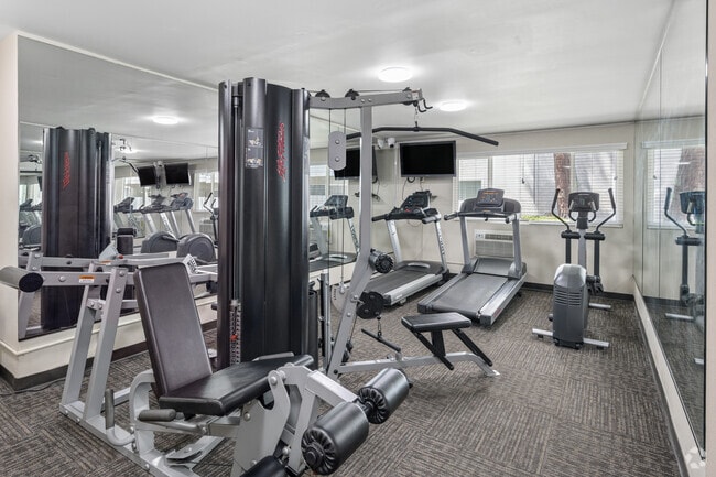Gimnasio
