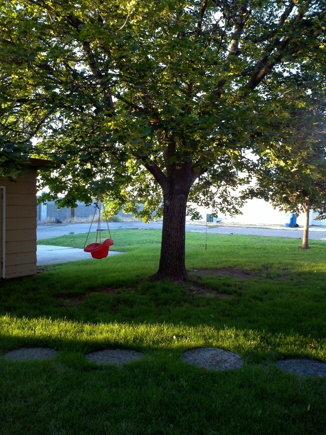 área del patio trasero - 479 White Cloud Dr