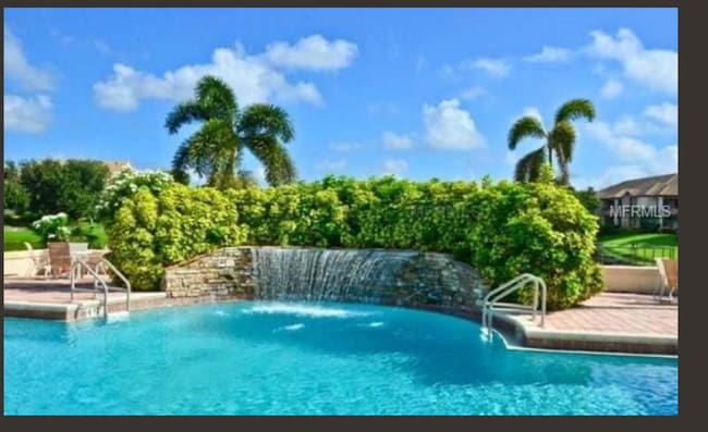 Pool - 10263 Gandy Blvd N Unit 1910