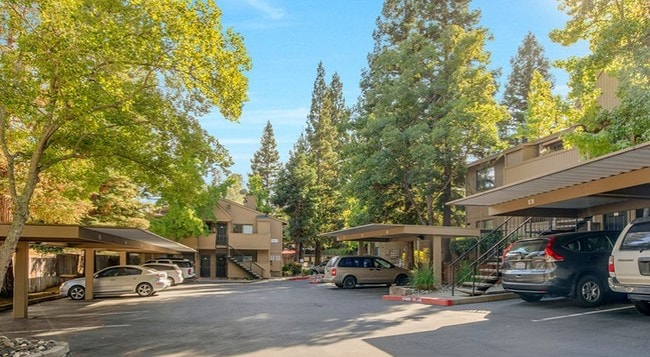 Photo - Donner at Fair Oaks