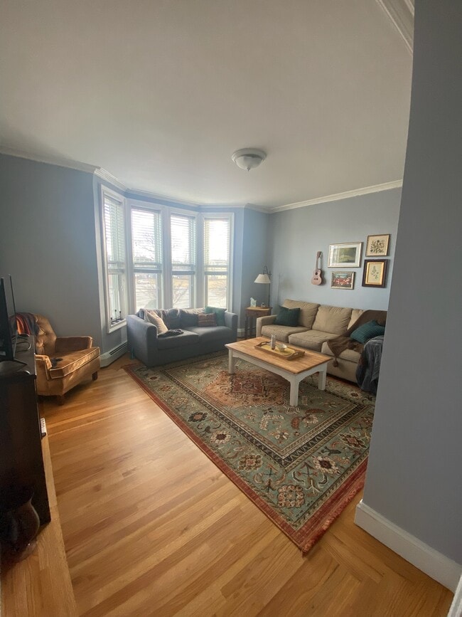 Living Room - 173 Orms St Unit 2