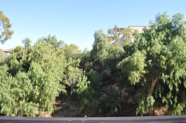 Photo - 8085 Caminito de Pizza Unit P