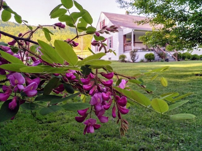 Photo - Quaint Country Cottage On Large Lot Near D...