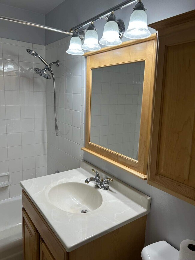 310 Lathrop Ave Condo Unit 407 Condo for Rent in Forest Park, IL