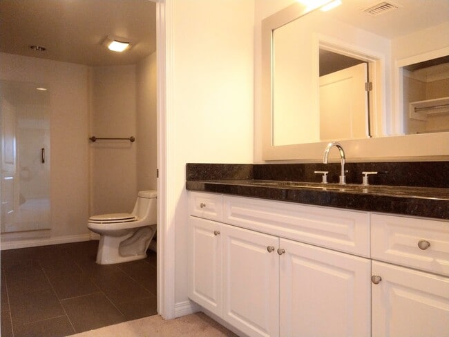 master Bathroom/Vanity