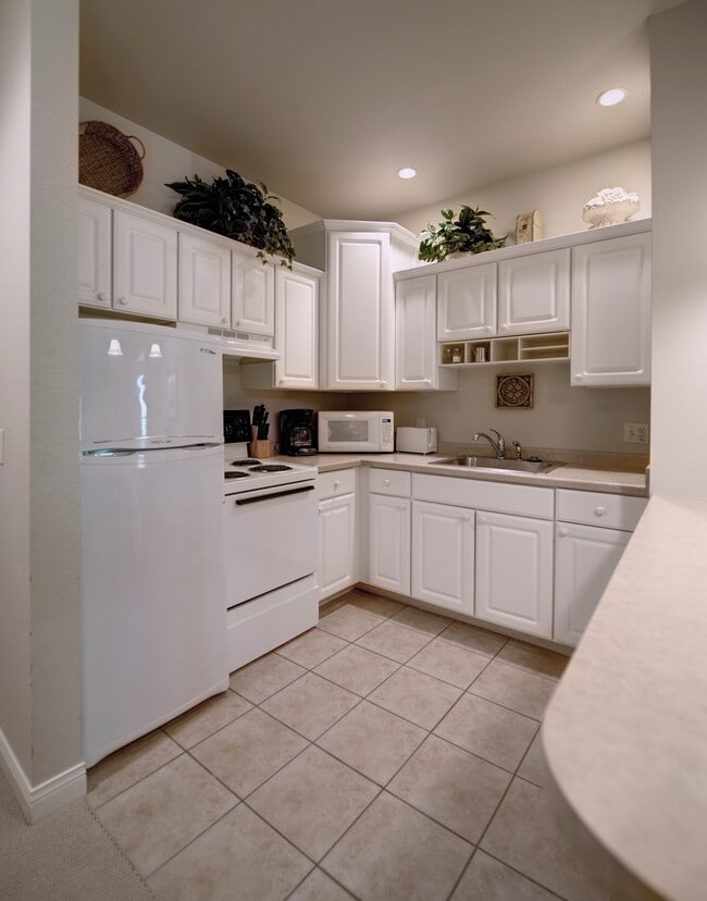 Furnished Kitchen