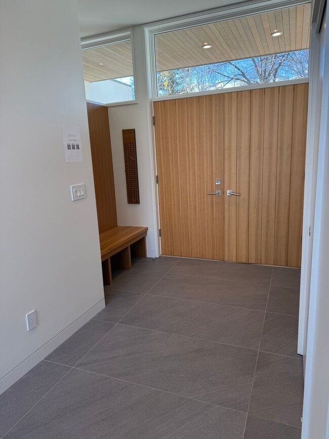 Photo - Silver Maple Stunning