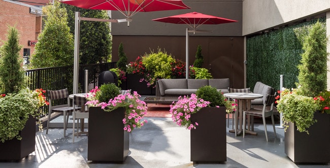 Twenty & Grand Patio 1
