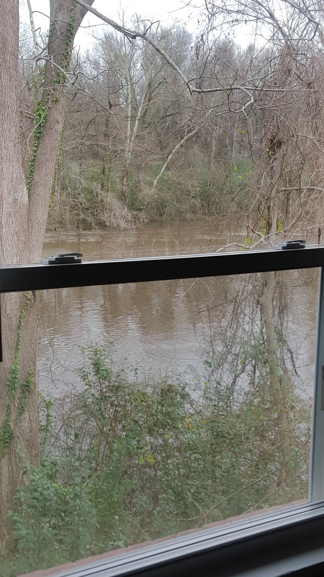 View of River - 125 Avery St Unit 8