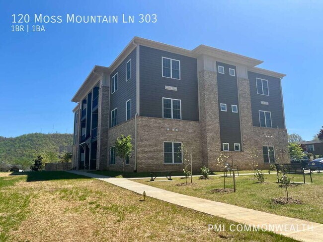 120 Moss Mountain Ln