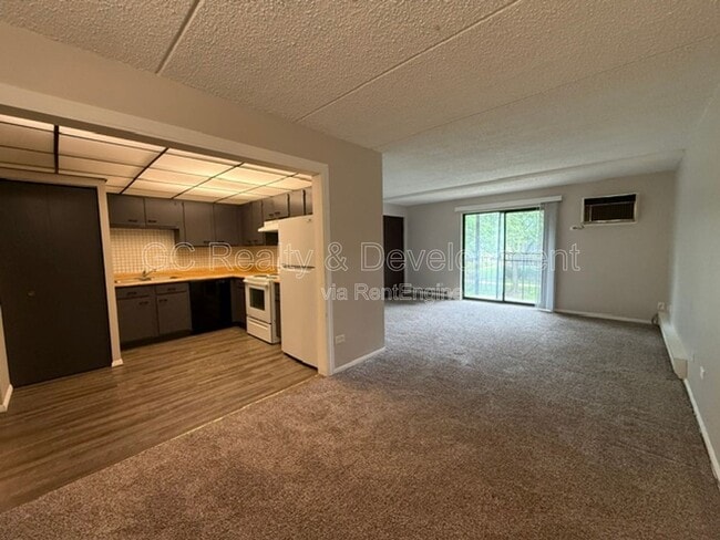 Photo - 240 Klein Creek Ct Unit 3