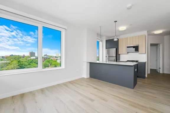 Photo - 1129 W Erie St