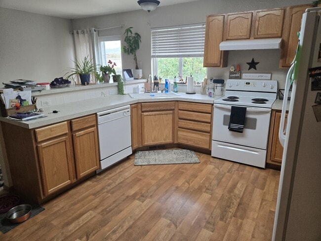 Photo - 4137 Cotopaxi Dr