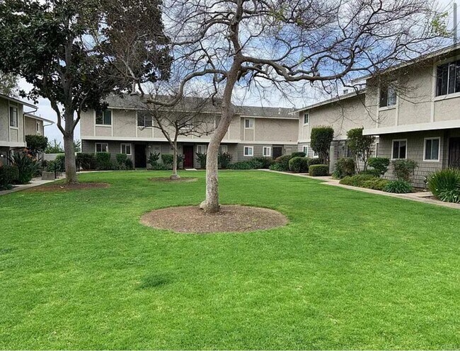 Photo - 2112 E Vista Way Condo