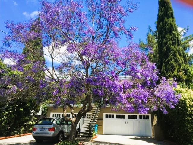 Building Photo - 1161 Woodrow St Unit 2