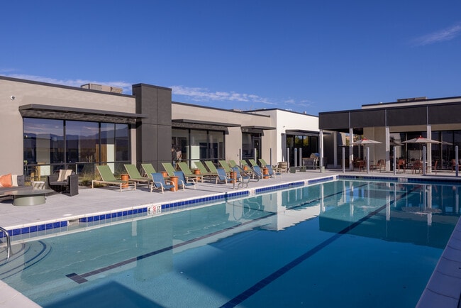 Pool & Spa Area