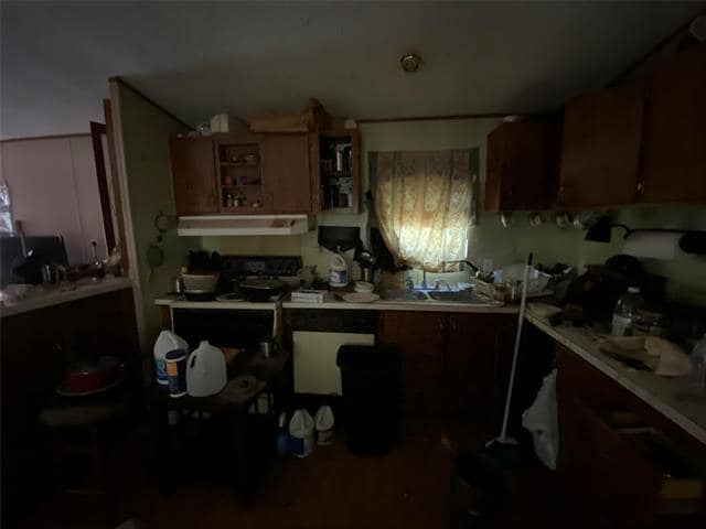 456 Cougar Dr