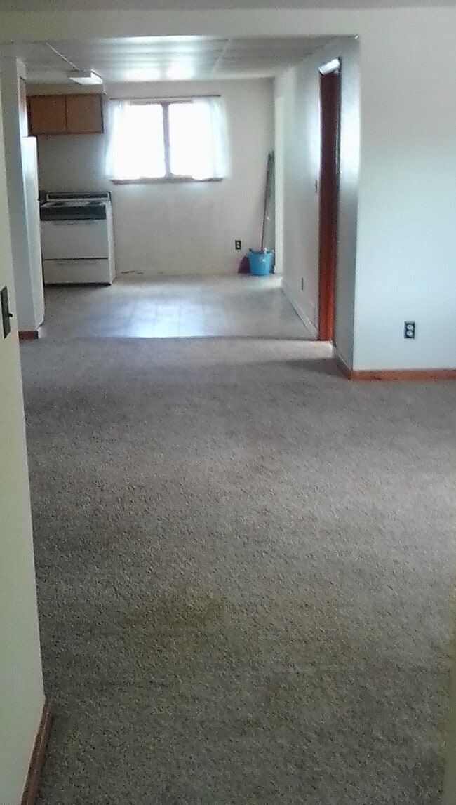 New carpeting throughout. Living room and both bedrooms - 663 court st Townhome