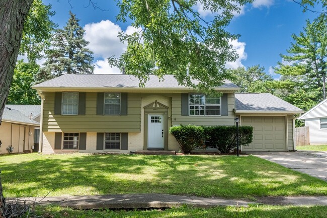 4 BED / 2 BATH HOUSE IN URBANA W/ MANY UPD... - 4 BED / 2 BATH HOUSE IN URBANA W/ MANY UPD...